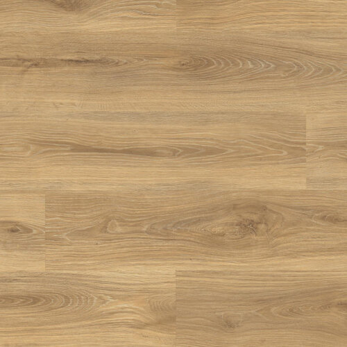 Douwes Dekker® Spontaan Wasabi 03453