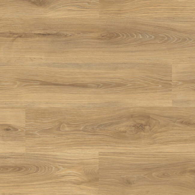 Spontaan Wasabi 03453