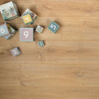 Puur Basilicum 03484