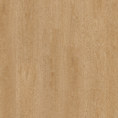 Therdex Lijmstrook Classic Serie 15121