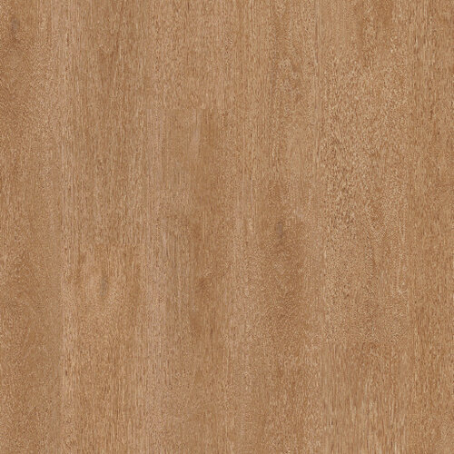 Therdex Click Classic Serie C15122