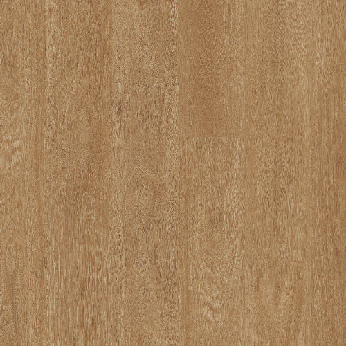 Therdex Click Classic Serie C15123