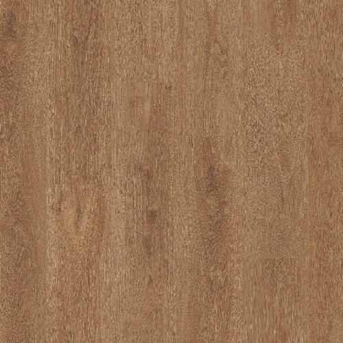 Therdex Click Classic Serie C15124