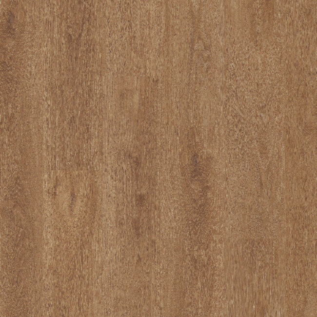Click Classic Serie C15124