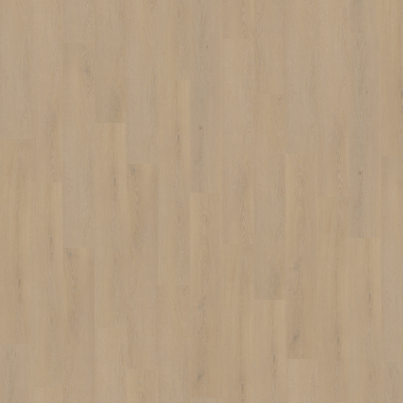 Lijmstrook Cervo 200