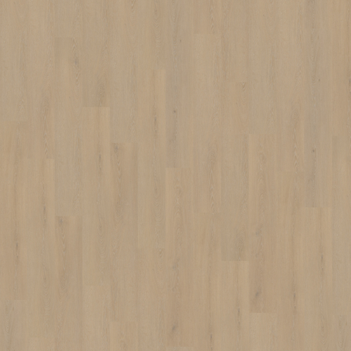 Cibo Lijmstrook Ivoor