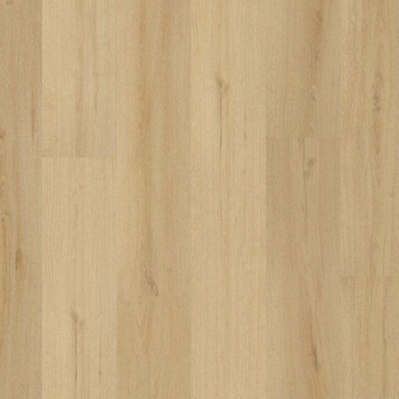 Click Valento Natural 2010