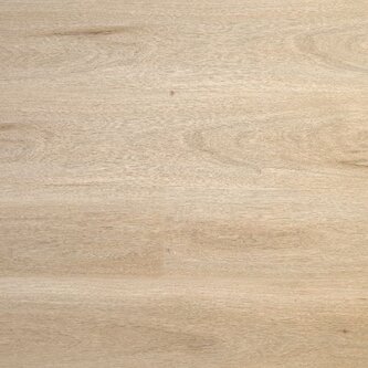 Lijmstrook Premier Morning Light L1201001