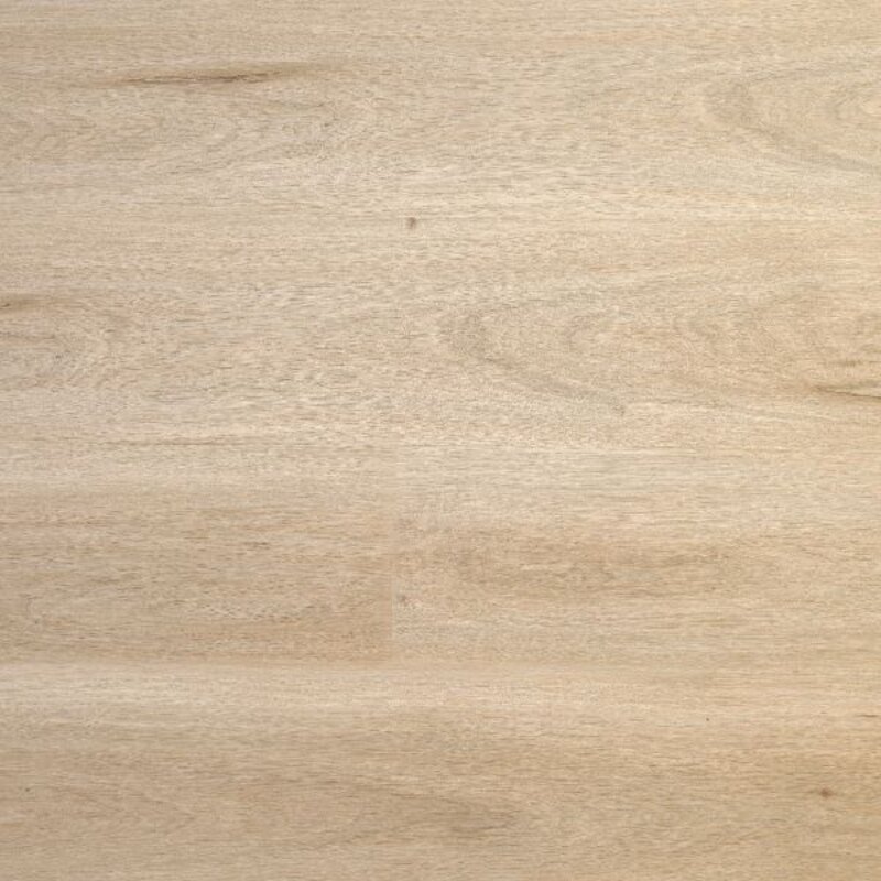 Lijmstrook Premier Morning Light L1201001