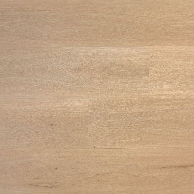 Lijmstrook Premier Calm Drift L1201007