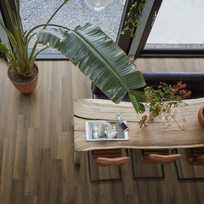 Lijmstrook Paddington Warm Brown 4501