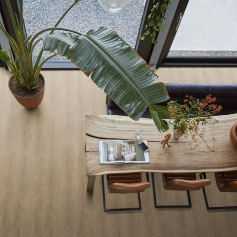 Lijmstrook Parramatta Natural Oak 1555