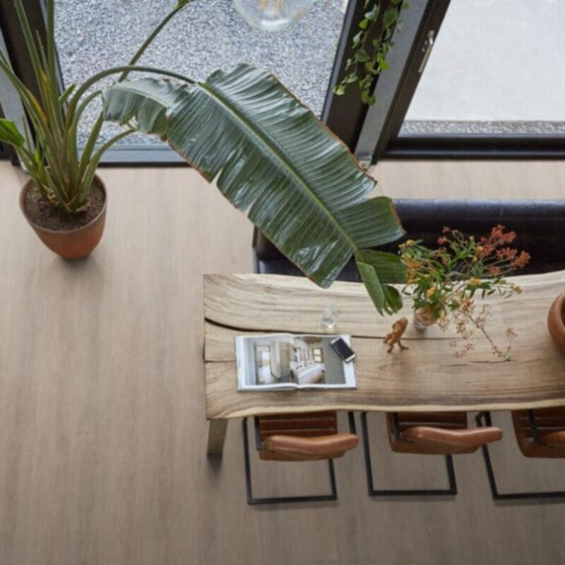 Click Parramatta Light Oak 2556