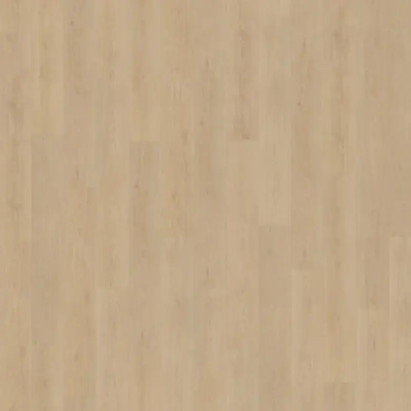 Click Monastro XL 920