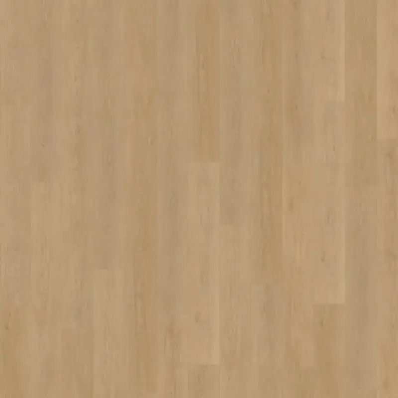 Click Monastro XL 930