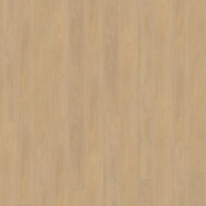 Click Terreno XL 610