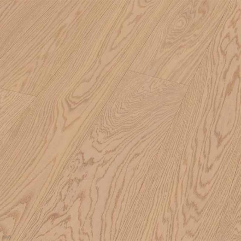 HD 100 Eik Natuur Licht 20079