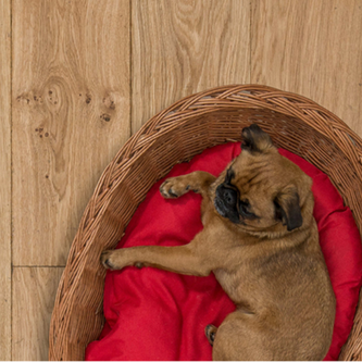 Eiken Planks Suede 01912