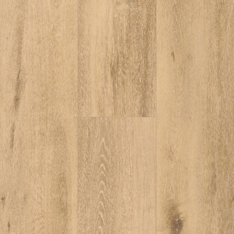 Click Spirit Soul CLCF 55 Allegra 60002377