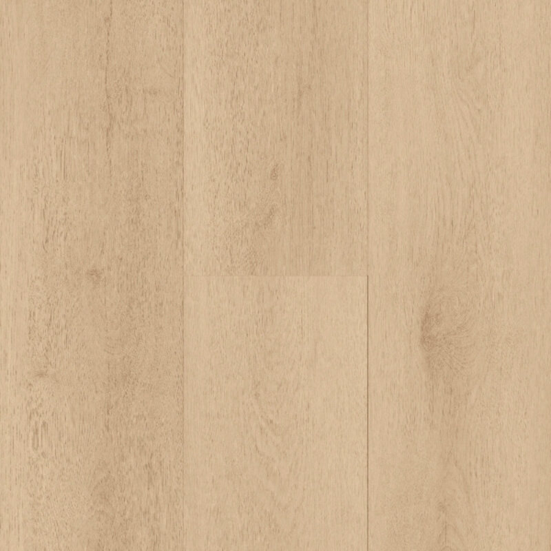 Lijmstrook Spirit Soul GD 55 Flora 60002393