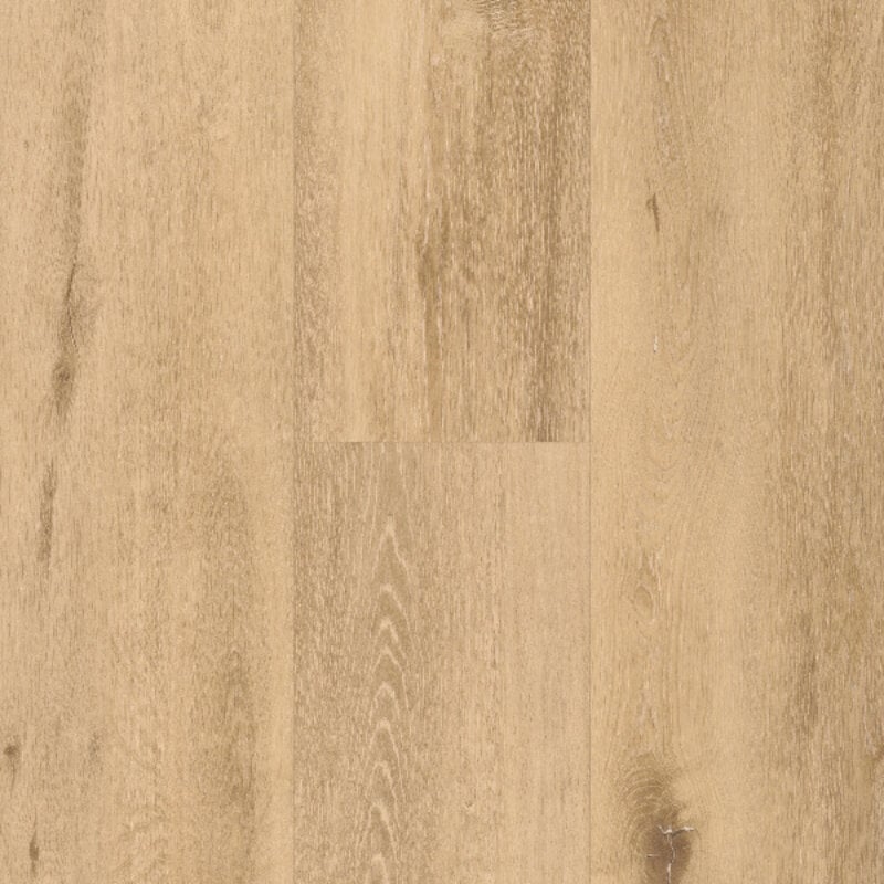 Lijmstrook Spirit Soul GD 55 Allegra 60002395