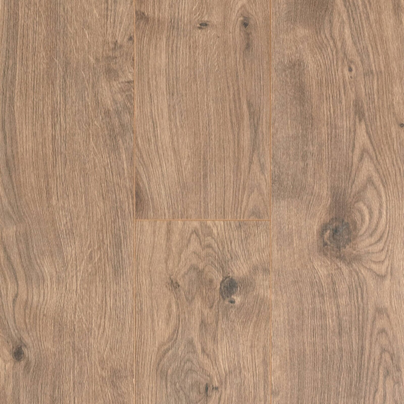 Cadenza Allegro Brown 62001917