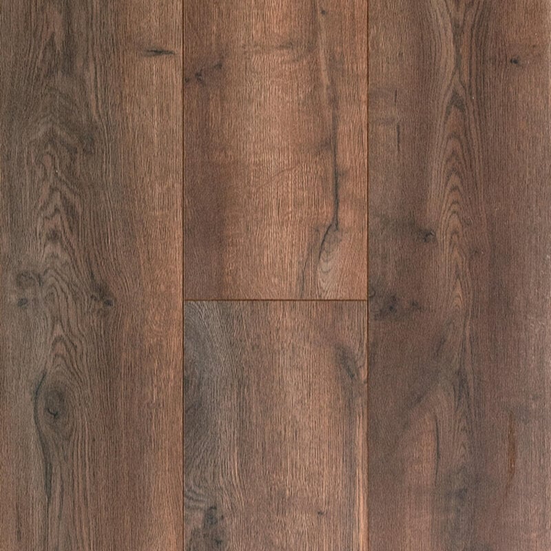 Cadenza Legato Dark Brown 62001925