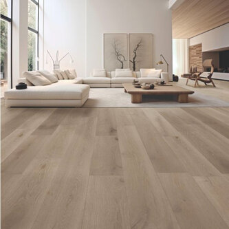 Ocean+ Canyon Light 62003056