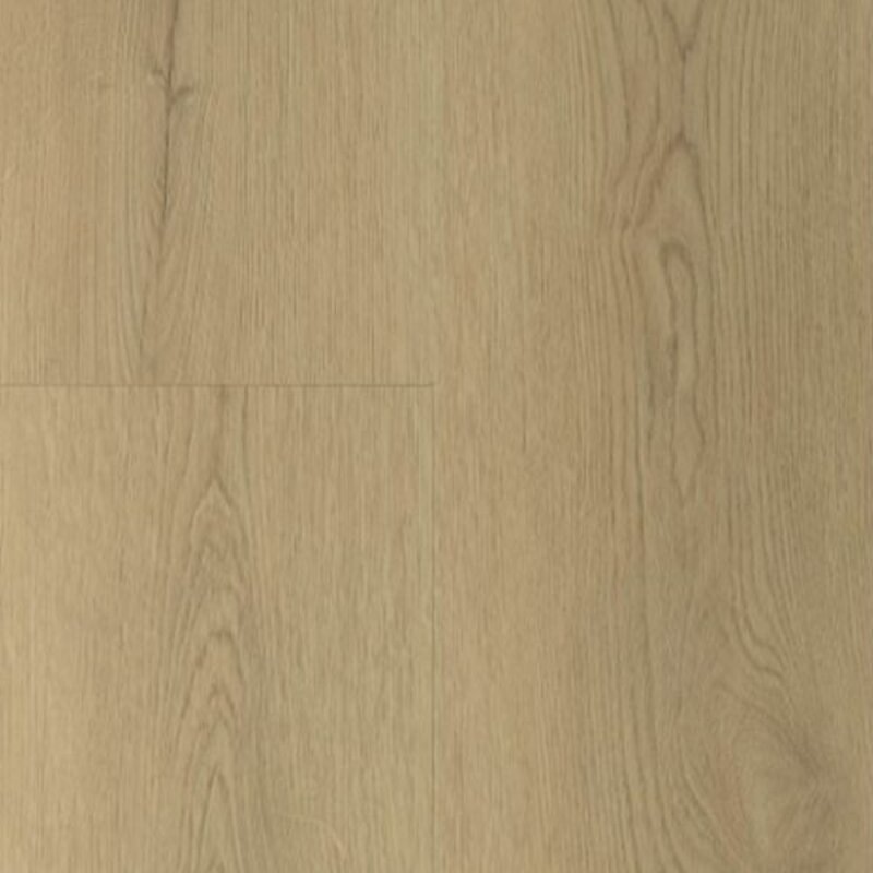 Lijmstrook Sierra Naturel 2003