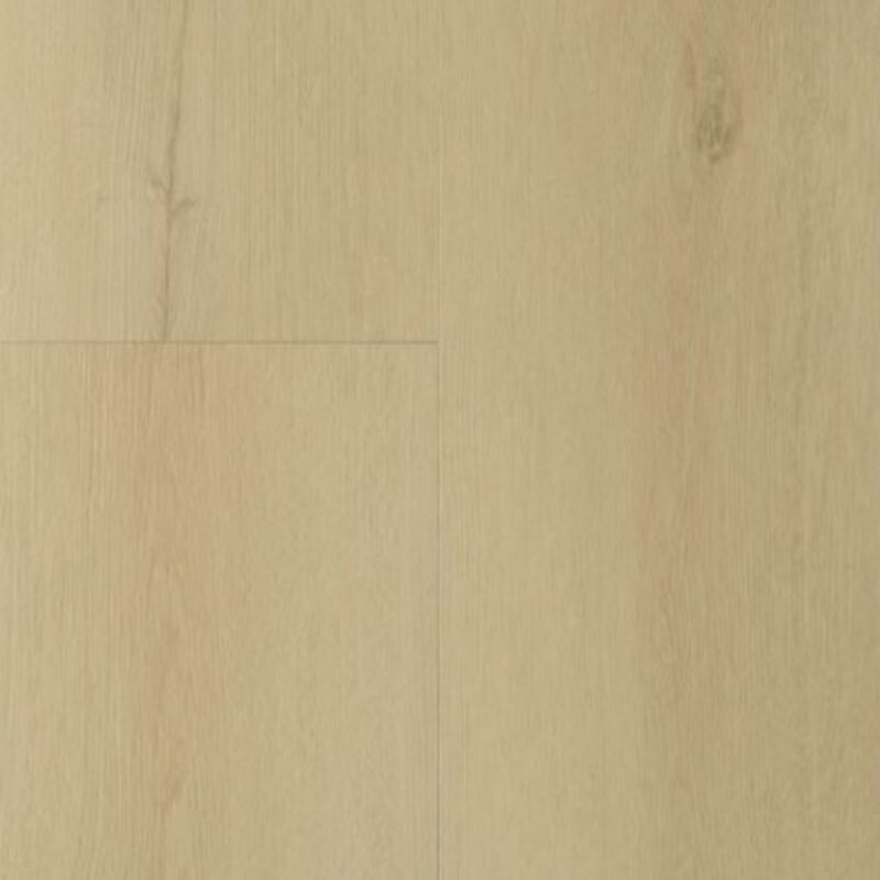 Lijmstrook Sierra Beige 2001 