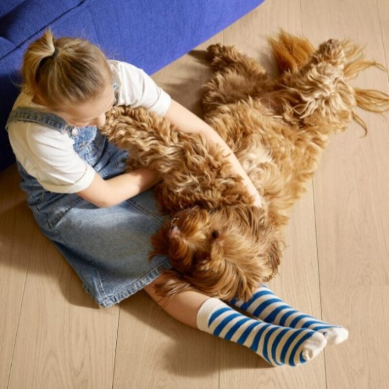 Pro 06 Milk Oak Premium PRB103