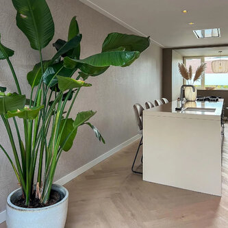 Lijmstrook Visgraat Palazzo XL 74