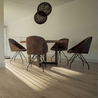 Sympathiek Vijg 03483