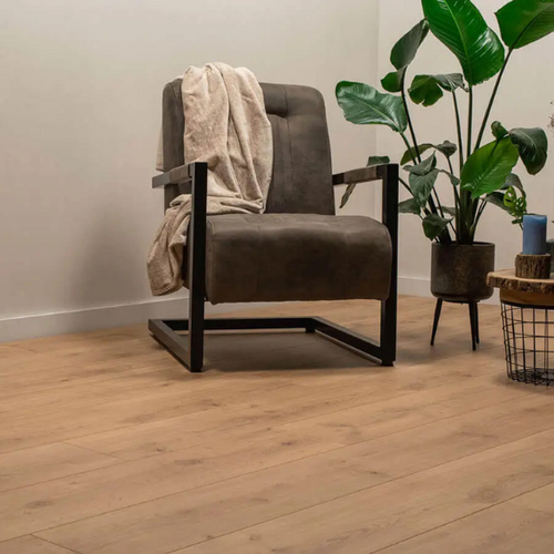 Montinique Plank Chicago 10-5947