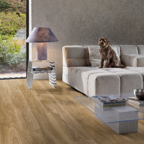 Moduleo  Lijmstrook Roots 55 English Walnut 20275