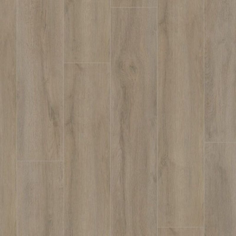 Prestige Oak Grijsbruin Eiken 6401