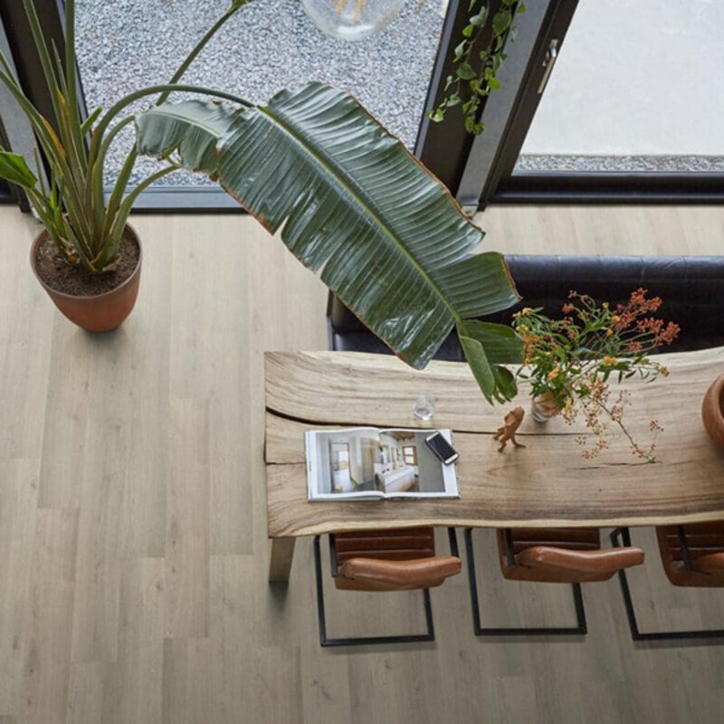 Forest Hills Grijsbeige Eiken  0019