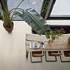 Lijmstrook Finsbury Beige 2021