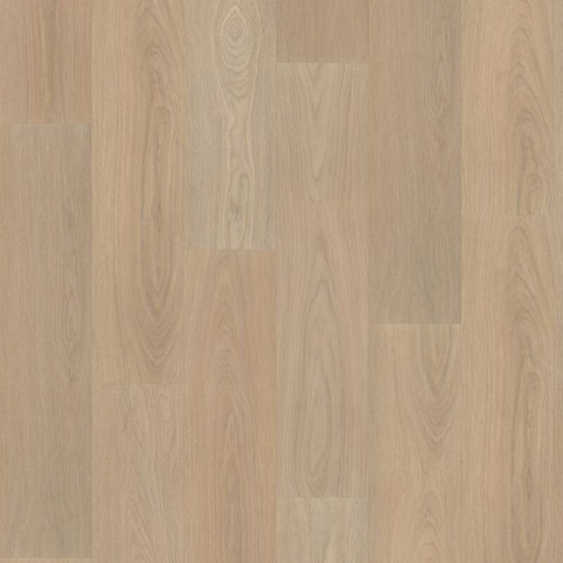 Click Eiken Bologna 7810