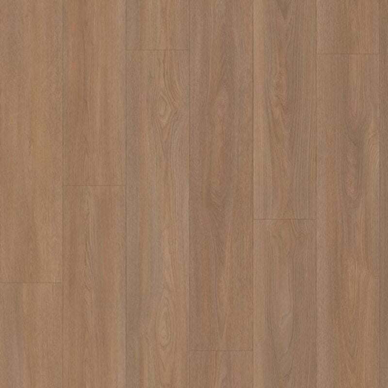 Click Eiken Bordeaux 8550