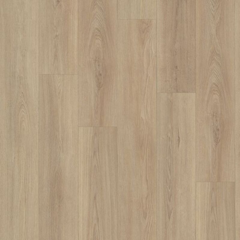 Click Eiken Mayfair 9010