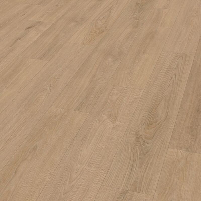 Click Eiken Mayfair 9020