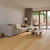 Lijmstrook Select Oak Classic P.10.60.1