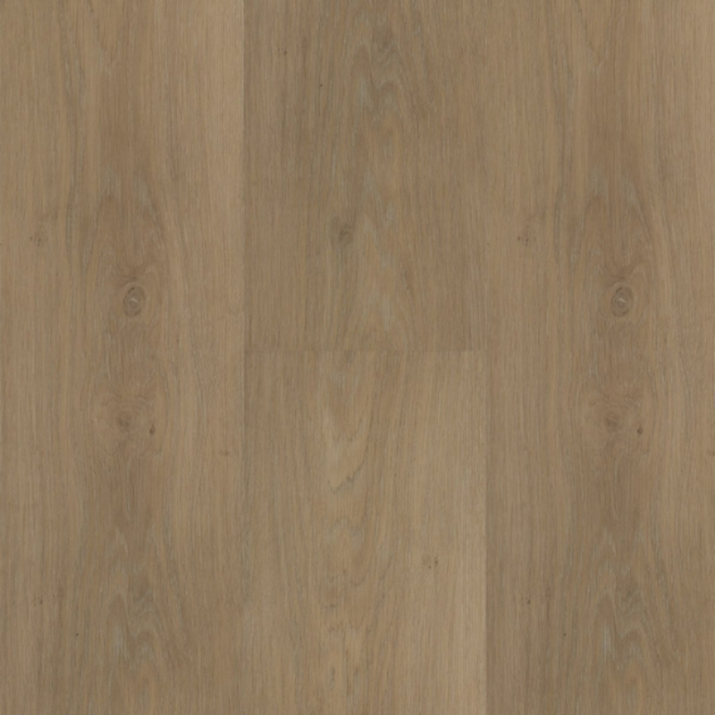 Click Chapelle XL 55841