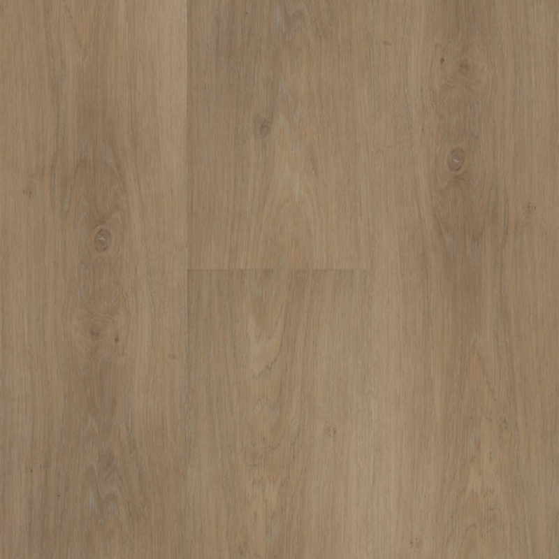 Click Chapelle XL 55842