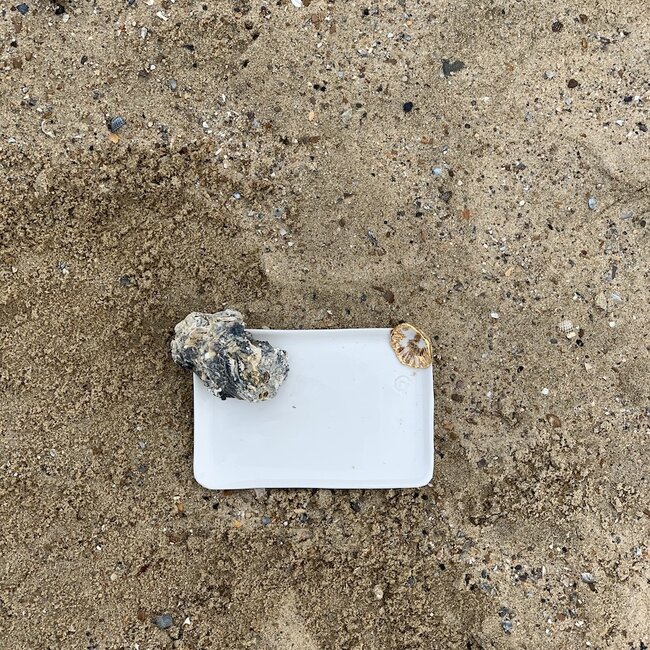 Handgemaakt bordje in witte porselein met een blinkende transparante glazuur afgewerkt met een schelpje en een gouden speelse touch