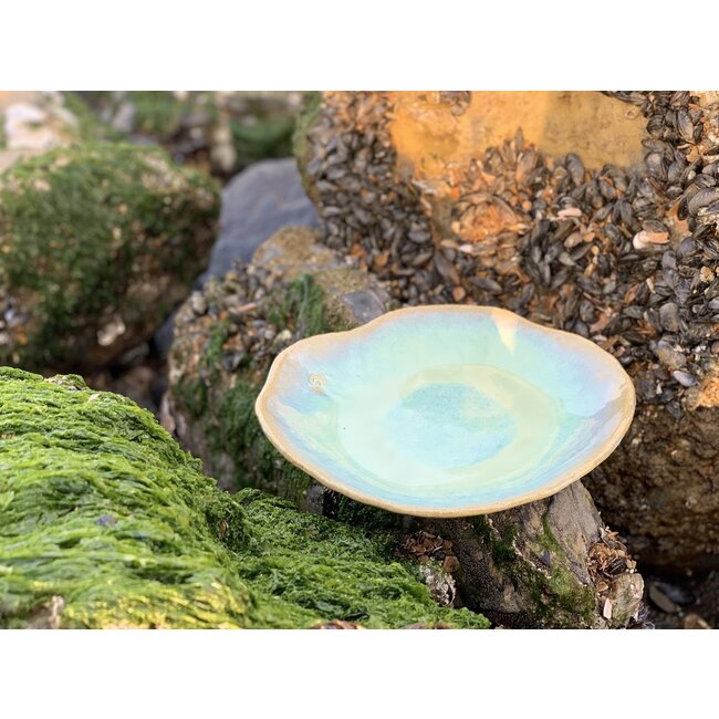 artisanni Handmade ceramic plate Amandine in shell shape and lagune glazes of the "Chefs Artisann i-lign" for contemporary use as well as for catering.