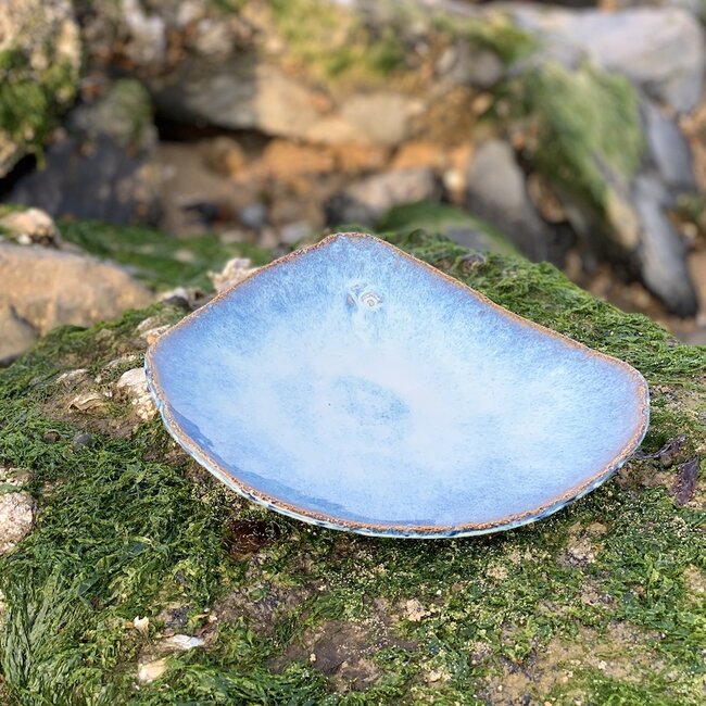 This unique shell-shaped plate has a functional medium-sized presentation bottom and very original in presentation for the chef