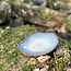 Handmade ceramic little scale Coquillage, Beach
