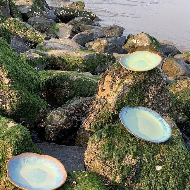 Handgemaakt keramisch bord Amandine Beach in schelpvorm "Chefs Artisann i-lign" zowel voor hedendaags gebruik alsook voor horeca.